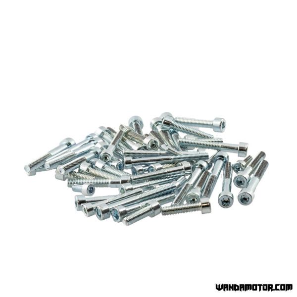 Minarelli AM6 screw kit-1